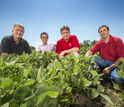 a group of 4 researchers in a field
