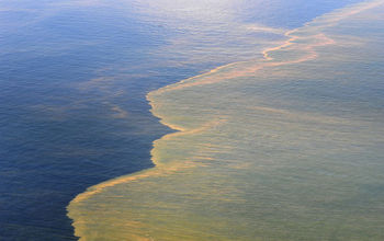 photo of oil on water from the Deepwater Horizon oil spill