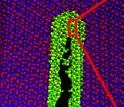 Stress corrosion cracking simulations