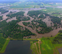 Flooded agricultural land and forest