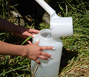 Researchers collect water samples