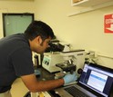 Vinayak Agarwal of the Scripps Institution of Oceanography looks at bacteria in marine sponges.