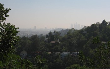 For the study, the researchers took measurements in the urban tree canopy throughout Los Angeles.