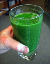 A cup of fouled water, scooped from Lake Erie during the 2011 algae bloom.