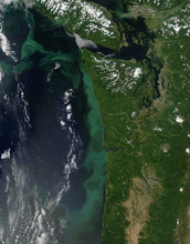 A large algae bloom off the Pacific Northwest coast occurred in July, 2014.