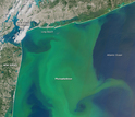 A huge algae bloom happened off the Atlantic coast in August, 2015.