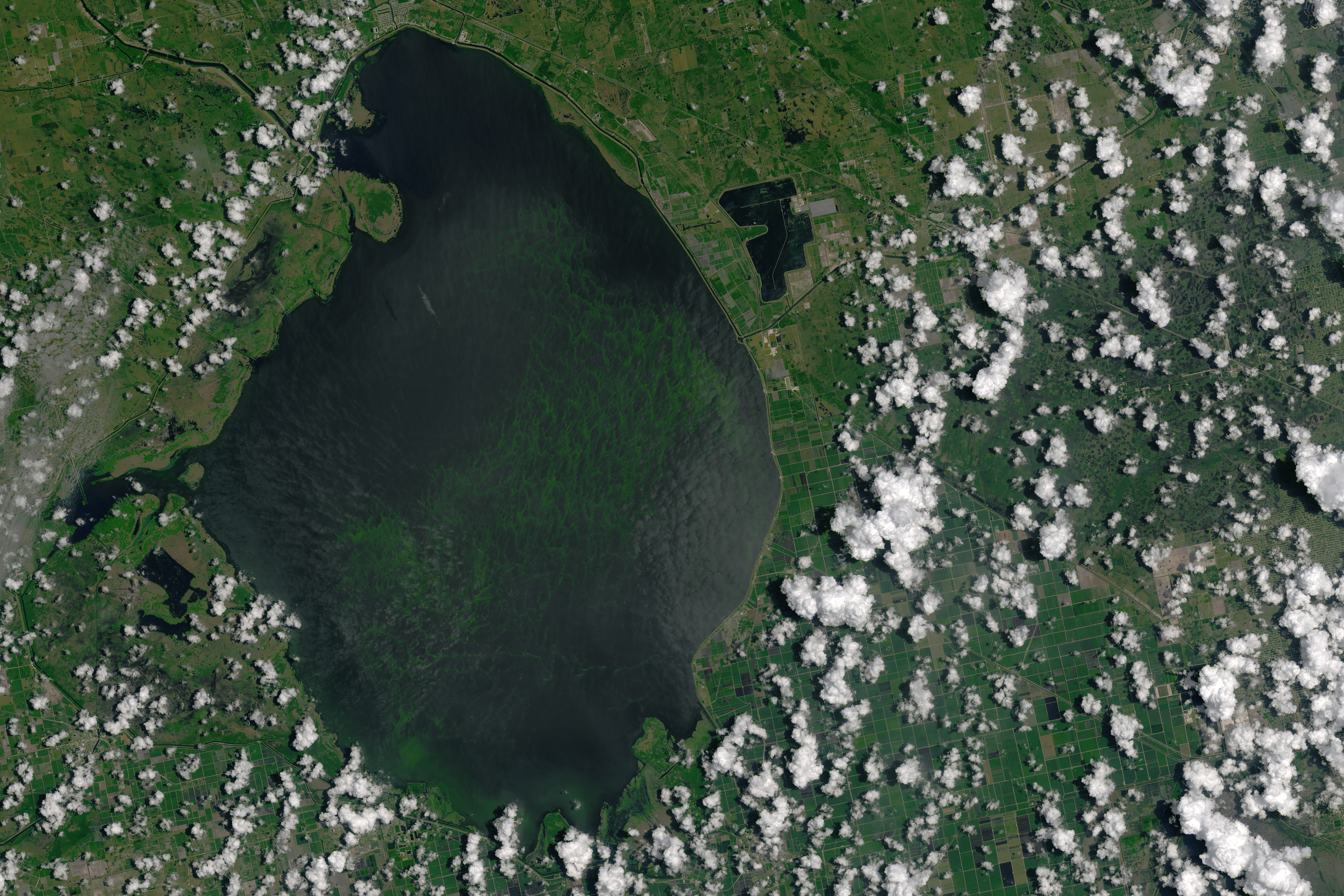 Озеро спутник. Озеро Танганьика космический снимок. Снимки озер из космоса. Космос озеро.
