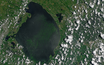 A Lake Okeechobee algae bloom in the summer of 2016. Water discharge led to more downstream blooms.