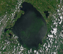 A Lake Okeechobee algae bloom in the summer of 2016. Water discharge led to more downstream blooms.