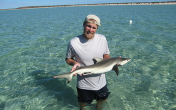 Researcher Michael Heithaus with a study subject. Sharks are important in marine ecosystems.