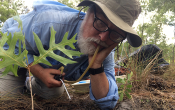 University of Oklahoma ecologist Michael Kaspari samples the ants from a plot at the Ordway Swisher NEON site.