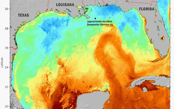 Multimedia Gallery - The Gulf Of Mexico's Loop Current Carried Oil 