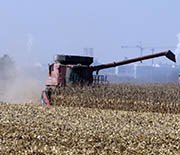 A corn harvest and processing facility in Illinois produces some 350 million ga/yr of fuel ethanol.
