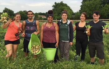 Students involved with Montclair State University in a farm field.