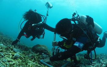 Divers collecting algae samples in the ocean.