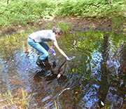 Vivien Taylor of Dartmouth College collects a water sample from a forest pool.