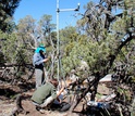 Researchers Darin Law and Juan Villegas investigate dying trees and local climate in New Mexico.