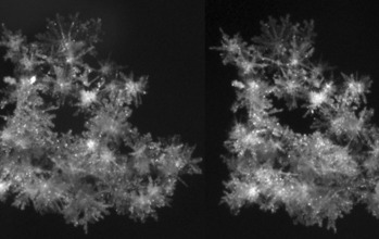 two images of a snowflake