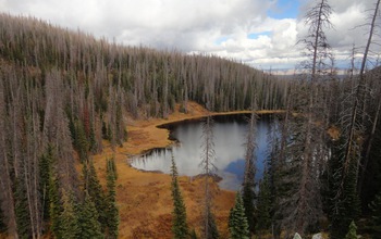 View of Lake Eileen in Colorado