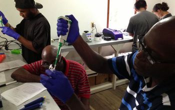 Student performing a DNA extraction in a lab