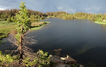 The Seven Lakes study site in the Mount Zirkel Wilderness Area also has charcoal from past fires.