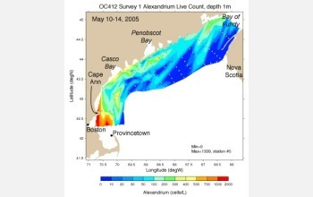 A massive red tide is occurring off the New England coast.