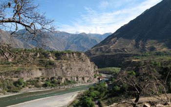 Vampire bats are carrying rabies across the Andes Mountains of Peru.