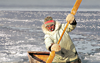 Hunting is among traditional Arctic wasy of life