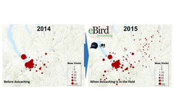 bird visits plotted on a regional map
