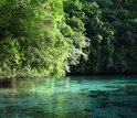 water and tress in Palau's Rock Island bay