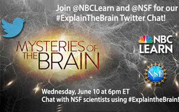 Explain the Brain Twitter Chart about Mysteries of the Brain with NBC Learn and NSF logos
