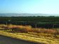 California's Central Valley, with the rugged hills of the Coast Ranges in the background.