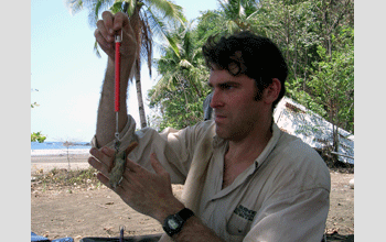Researcher Robb Brumfield weighs a bird in Panamanian jungle for a study on hunting strategies