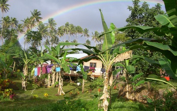 Photo of researchers' base camp  surrounded by banana trees and clothes out to dry in Fiji.