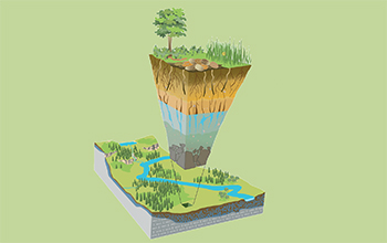 The top of the forest canopy to the base of bedrock is known as Earth's critical zone.