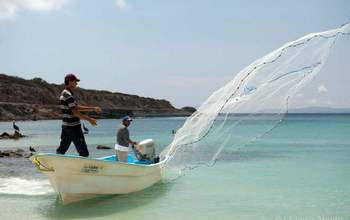 Fishermen in a boat in Bahia de los Muertos cast a net