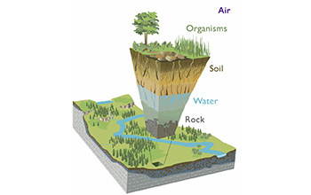Earth's critical zone extends from above the tree canopy to bedrock.