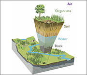 Earth's critical zone extends from above the tree canopy to bedrock.