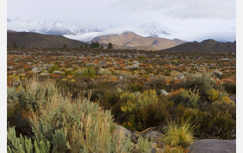 Landscape near Independence, Calif., where atmospheric turbulence project T-REX took place