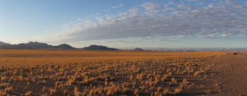 The Namib in the morning sun; fog usually occurs from late night to early morning.