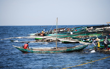 Fishers gather in their boats on Lake Victoria; local communities depend on the lake's fisheries.