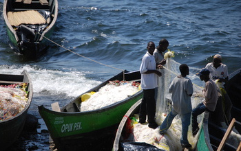 Fishers preparing their nets around Lake Victoria.