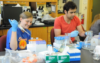 researchers in a lab