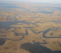 View of relatively healthy marsh area in southeastern Louisiana with tidal channels and canals.