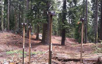 Dust-collecting instruments in the Providence Watersheds, one of the study's high elevation sites.