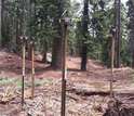 Dust-collecting instruments in the Providence Watersheds, one of the study's high elevation sites.