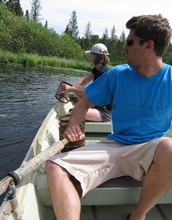 Ryan Batt rows out to collect minnow traps in a northern Wisconsin lake.