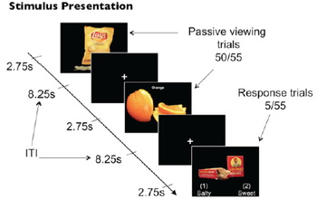 food images and the text stimulus presentation, passive viewing