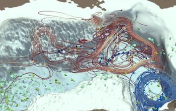 Visualization of a simulation of brain activity in the rodent hippocampus in a computational model developed in the Soltesz lab at Stanford University.