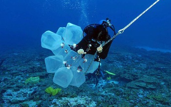 Scientist diving to collect microbial samples